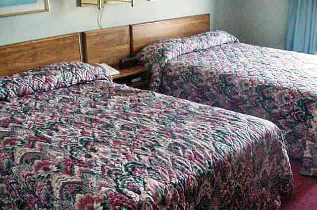 Motel 6-Arkadelphia, Ar Habitación foto